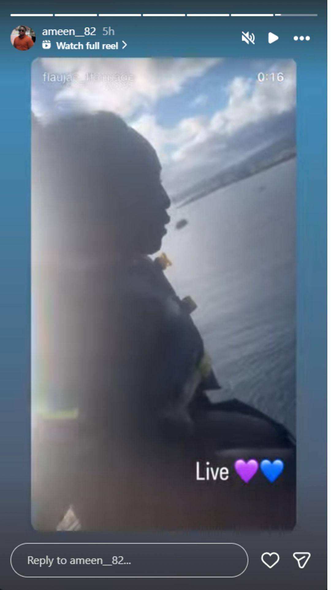 Johnson's stepfather reacted to her video of paragliding | @ameen__82/ig
